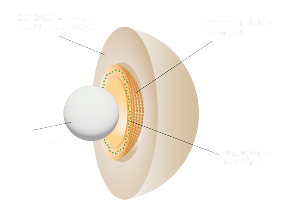 sucrosomial